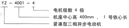 YR系列(H355-1000)高压Y4504-6三相异步电机西安西玛电机型号说明